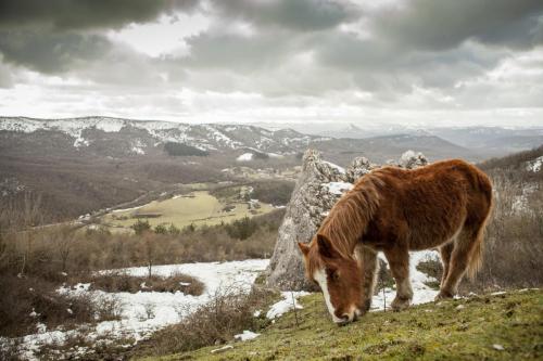 ©ARfoto.es