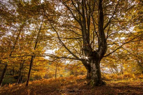 ©ARfoto.es